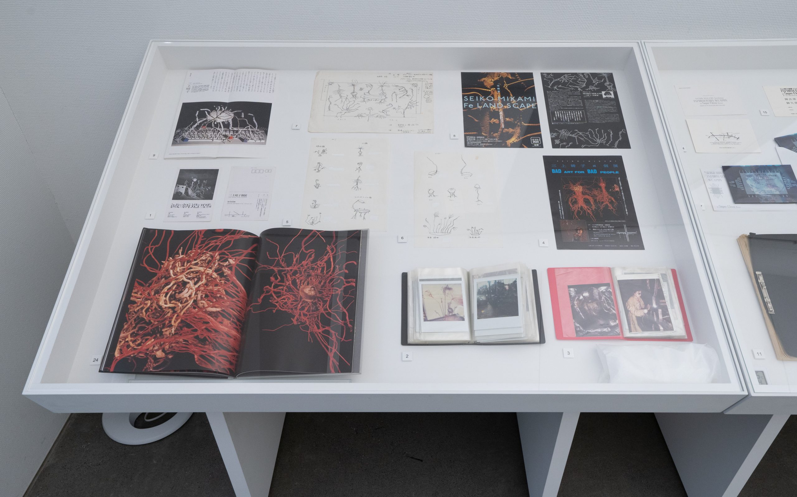 展示の様子